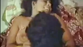 Nacho ইংলিশ নিউ সেক্ ...