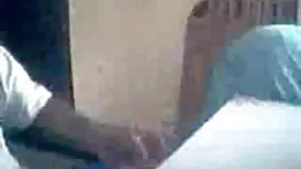অ্যালেক্স আরো-আরো চর ...