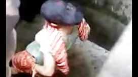 এশিয়ান, রাখালী, হার ...