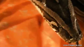 পরামর্শ-সাইকেল ইংলিশ ...