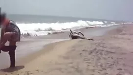 জয়নুল আবেদীন জয়নুল ...