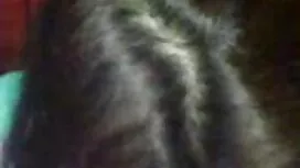 সুন্দরি ইংলিশ থ্রি এ ...