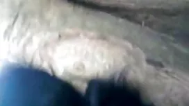 মেয়েদের হস্তমৈথুন,  ...