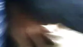 [জেট মাল্টিমিডিয়া]  ...
