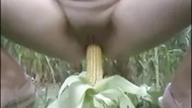 অপেশাদার বাঁধা দু: খ ...