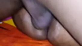 জেড নন্দ চুরি ধরা পা ...