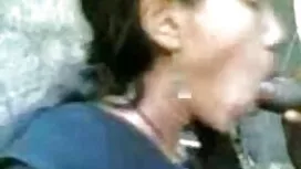 ক্ষুদ্র, মিষ্টি ও ইং ...