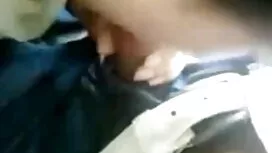 অ্যালেক্স মেহর-চরম অ ...