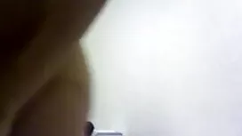 ফোয়ারা সর্বজনীন ফোয ...
